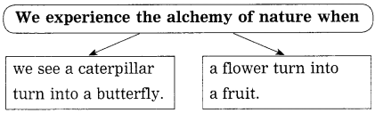 Maharashtra-Board-Class-10-My-English-Coursebook-Solutions-Chapter-3.5-The-Alchemy-of-Nature-10
