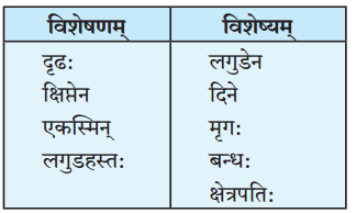 Maharashtra-Board-Class-10-Sanskrit-Amod-Solutions-Chapter-2-व्यसने-मित्रपरीक्षा-1