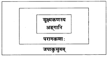 Maharashtra-Board-Class-10-Sanskrit-Amod-Solutions-Chapter-5-स-एव-परमाणुः-5