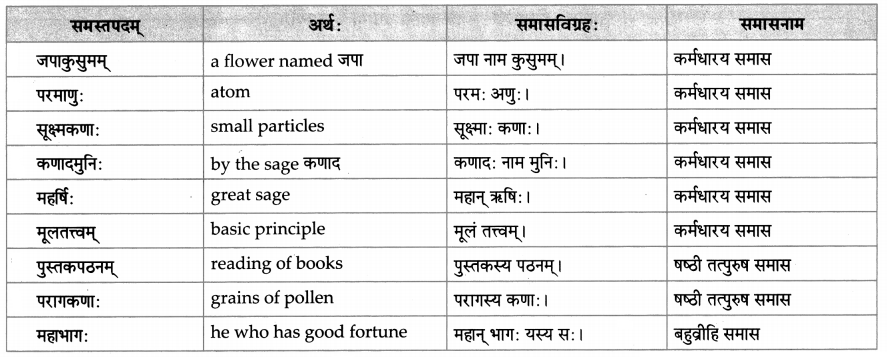 Maharashtra-Board-Class-10-Sanskrit-Amod-Solutions-Chapter-5-स-एव-परमाणुः-6