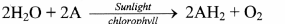 Maharashtra-Board-Class-11-Biology-Solutions-Chapter-12-Photosynthesis-6