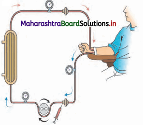 Maharashtra-Board-Class-11-Biology-Solutions-Chapter-15-Excretion-and-Osmoregulation-10