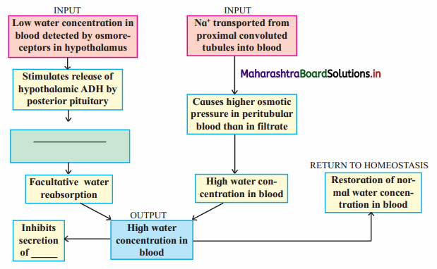 Maharashtra-Board-Class-11-Biology-Solutions-Chapter-15-Excretion-and-Osmoregulation-8