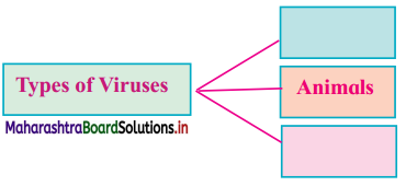 Maharashtra-Board-Class-11-Biology-Solutions-Chapter-2-Systematics-of-Living-Organisms-3
