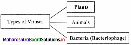 Maharashtra-Board-Class-11-Biology-Solutions-Chapter-2-Systematics-of-Living-Organisms-4