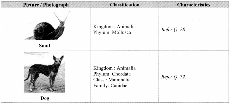 Maharashtra-Board-Class-11-Biology-Solutions-Chapter-4-Kingdom-Animalia-18