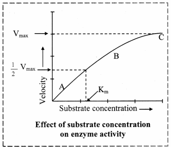 Maharashtra-Board-Class-11-Biology-Solutions-Chapter-6-Biomolecules-11