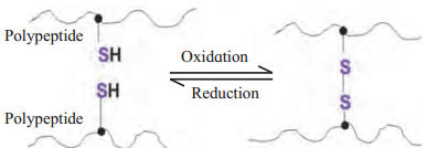 Maharashtra-Board-Class-11-Biology-Solutions-Chapter-6-Biomolecules-2