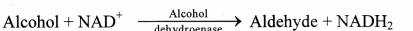 Maharashtra-Board-Class-11-Biology-Solutions-Chapter-6-Biomolecules-3