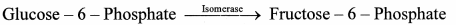 Maharashtra-Board-Class-11-Biology-Solutions-Chapter-6-Biomolecules-7