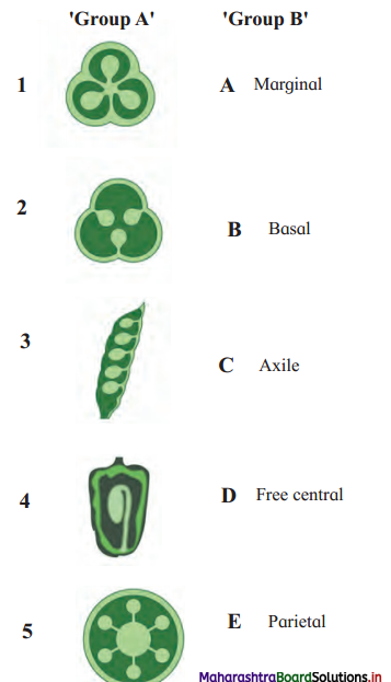 Maharashtra-Board-Class-11-Biology-Solutions-Chapter-9-Morphology-of-Flowering-Plants-2