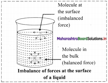 Maharashtra-Board-Class-11-Chemistry-Solutions-Chapter-10-States-of-Matter-10