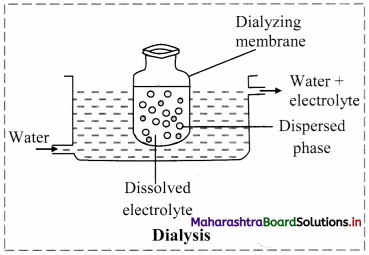 Maharashtra-Board-Class-11-Chemistry-Solutions-Chapter-11-Adsorption-and-Colloids-10