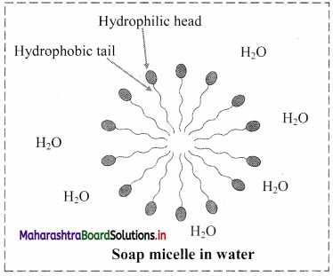 Maharashtra-Board-Class-11-Chemistry-Solutions-Chapter-11-Adsorption-and-Colloids-12