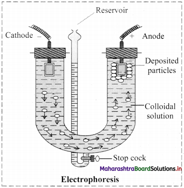 Maharashtra-Board-Class-11-Chemistry-Solutions-Chapter-11-Adsorption-and-Colloids-2