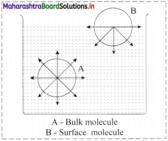 Maharashtra-Board-Class-11-Chemistry-Solutions-Chapter-11-Adsorption-and-Colloids-6