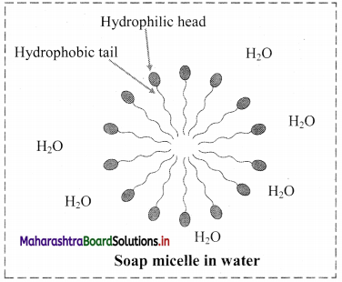 Maharashtra-Board-Class-11-Chemistry-Solutions-Chapter-11-Adsorption-and-Colloids-8