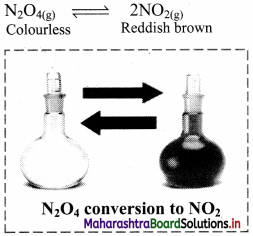 Maharashtra-Board-Class-11-Chemistry-Solutions-Chapter-12-Chemical-Equilibrium-8