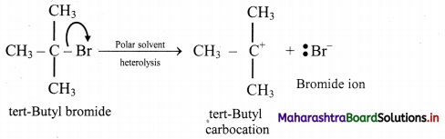 Maharashtra-Board-Class-11-Chemistry-Solutions-Chapter-14-Basic-Principles-of-Organic-Chemistry-43