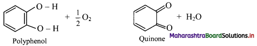 Maharashtra-Board-Class-11-Chemistry-Solutions-Chapter-16-Chemistry-in-Everyday-Life-1