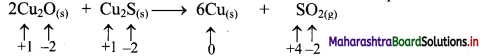 Maharashtra-Board-Class-11-Chemistry-Solutions-Chapter-6-Redox-Reactions-3