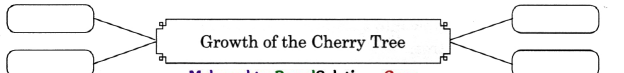 Maharashtra-Board-Class-11-English-Yuvakbharati-Solutions-Chapter-2.1-Cherry-Tree-1