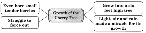 Maharashtra-Board-Class-11-English-Yuvakbharati-Solutions-Chapter-2.1-Cherry-Tree-2