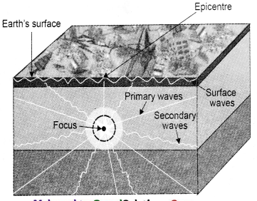 Maharashtra-Board-Class-11-Geography-Solutions-Chapter-1-Earth-Movements-11