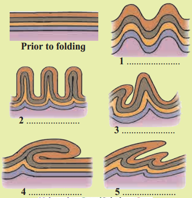 Maharashtra-Board-Class-11-Geography-Solutions-Chapter-1-Earth-Movements-12