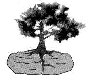 Maharashtra-Board-Class-11-Geography-Solutions-Chapter-2-Weathering-and-Mass-Wasting-3