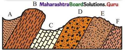 Maharashtra-Board-Class-11-Geography-Solutions-Chapter-2-Weathering-and-Mass-Wasting-5