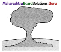Maharashtra-Board-Class-11-Geography-Solutions-Chapter-3-Agents-of-Erosion-3