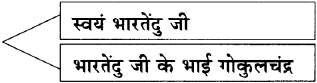 Maharashtra-Board-Class-11-Hindi-Yuvakbharati-Solutions-Chapter-11-भारती-का-सपूत-9