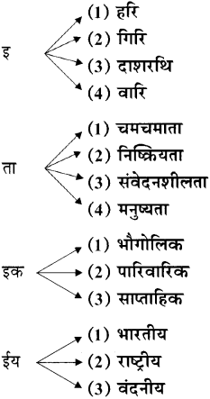 Maharashtra-Board-Class-11-Hindi-Yuvakbharati-Solutions-Chapter-4-मेरा-भला-करने-वालों-से-बचाएँ-11