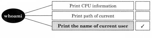 Maharashtra-Board-Class-11-Information-Technology-Solutions-Chapter-1-Basics-of-Information-Technology-1-Q4.1