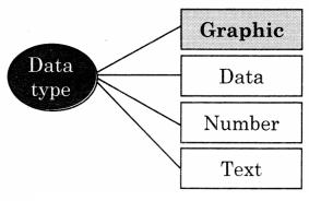 Maharashtra-Board-Class-11-Information-Technology-Solutions-Chapter-2-Introduction-to-DBMS-1-Q1.1