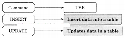 Maharashtra-Board-Class-11-Information-Technology-Solutions-Chapter-2-Introduction-to-DBMS-3-Q1.1