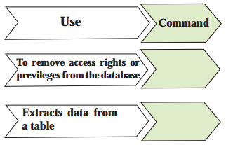Maharashtra-Board-Class-11-Information-Technology-Solutions-Chapter-2-Introduction-to-DBMS-9-Q1