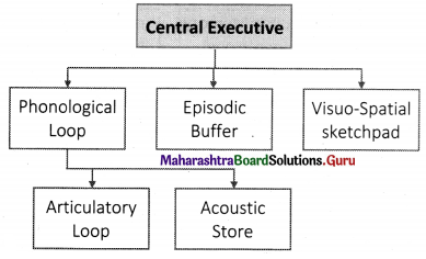 Maharashtra-Board-Class-11-Psychology-Solutions-Chapter-8-Memory-2-Q2