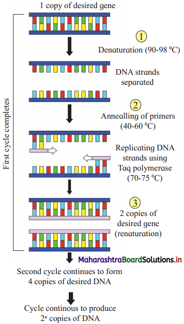 Maharashtra-Board-Class-12-Biology-Solutions-Chapter-12-Biotechnology-2