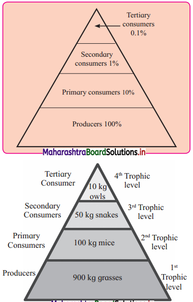 Maharashtra-Board-Class-12-Biology-Solutions-Chapter-14-Ecosystems-and-Energy-Flow-1