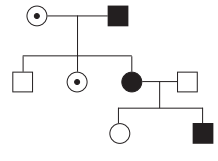Maharashtra-Board-Class-12-Biology-Solutions-Chapter-3-Inheritance-and-Variation-2