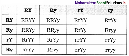 Maharashtra-Board-Class-12-Biology-Solutions-Chapter-3-Inheritance-and-Variation-3
