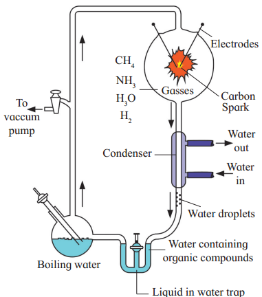 Maharashtra-Board-Class-12-Biology-Solutions-Chapter-5-Origin-and-Evolution-of-Life-2