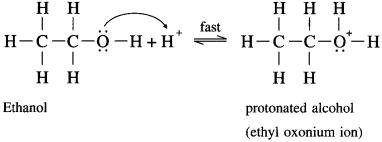 Maharashtra-Board-Class-12-Chemistry-Solutions-Chapter-11-Alcohols-Phenols-and-Ethers-164