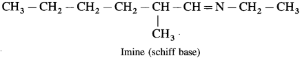 Maharashtra-Board-Class-12-Chemistry-Solutions-Chapter-12-Aldehydes-Ketones-and-Carboxylic-Acids-218