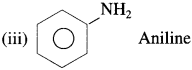 Maharashtra-Board-Class-12-Chemistry-Solutions-Chapter-13-Amines-2