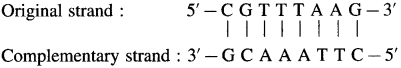 Maharashtra-Board-Class-12-Chemistry-Solutions-Chapter-14-Biomolecules-100