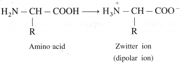 Maharashtra-Board-Class-12-Chemistry-Solutions-Chapter-14-Biomolecules-103