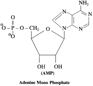Maharashtra-Board-Class-12-Chemistry-Solutions-Chapter-14-Biomolecules-105